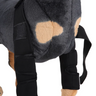 Dog Knee Brace and Leg Protector for Injury Recovery